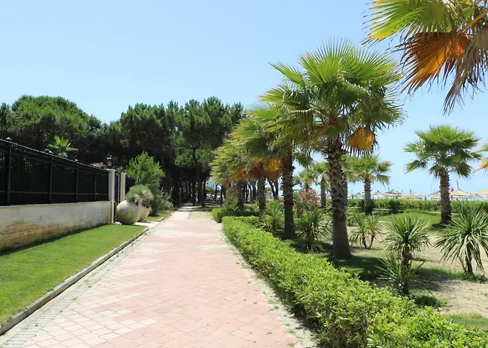 Twin * Golem (Tirana)
